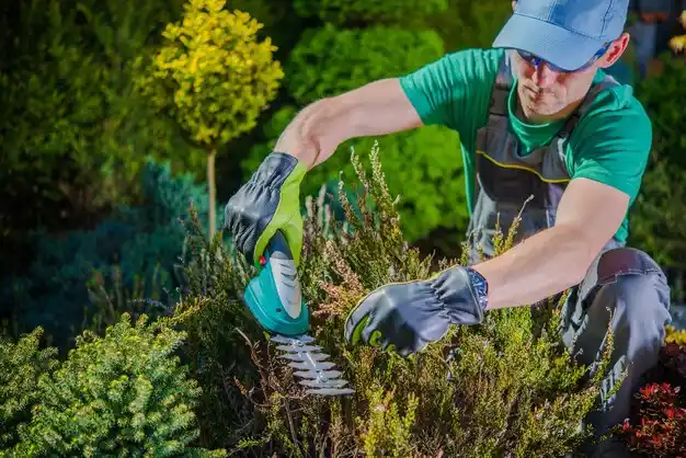 landscaping services Mount Gilead